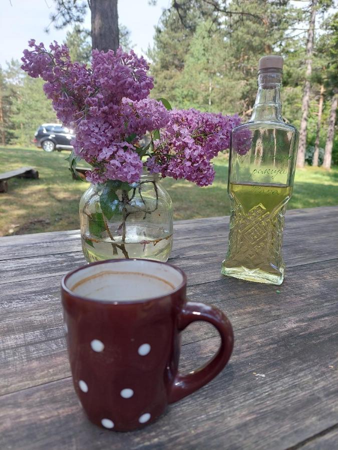Rustic Home Tara カルゲスケ・バレ エクステリア 写真