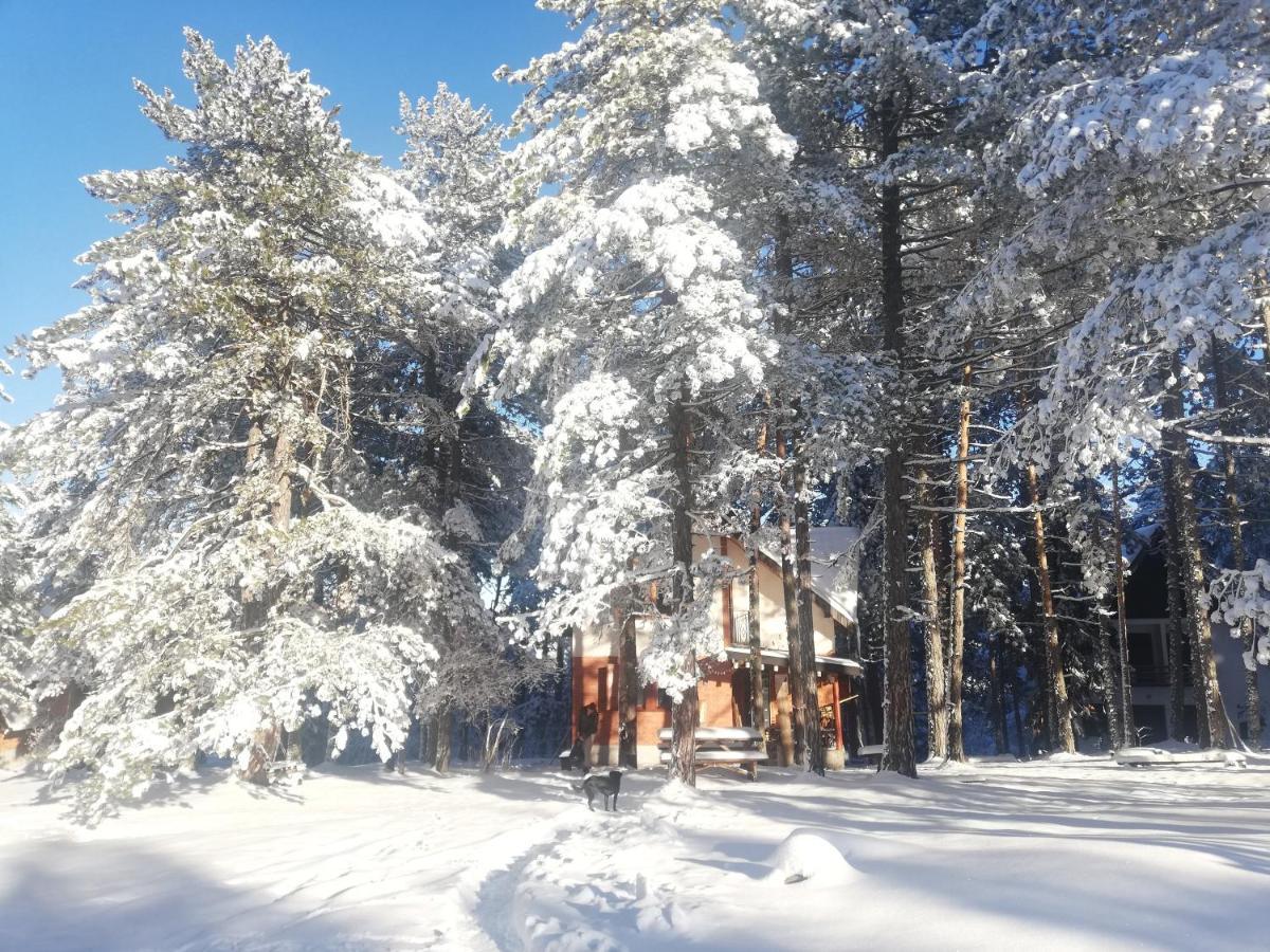 Rustic Home Tara カルゲスケ・バレ エクステリア 写真
